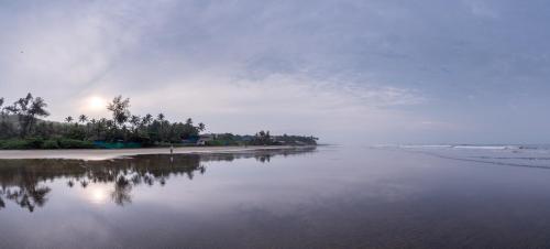a view of a beach with trees and the water at Amadi Beach Front Resort in Mandrem