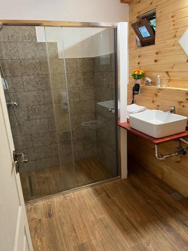 a bathroom with a sink and a shower at Complex turistic Traisteni din Valea Doftanei in Podu lui Neag