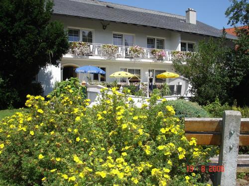 a house with a bunch of yellow flowers in front of it at Landgasthof Spitzerwirt in Sankt Georgen im Attergau