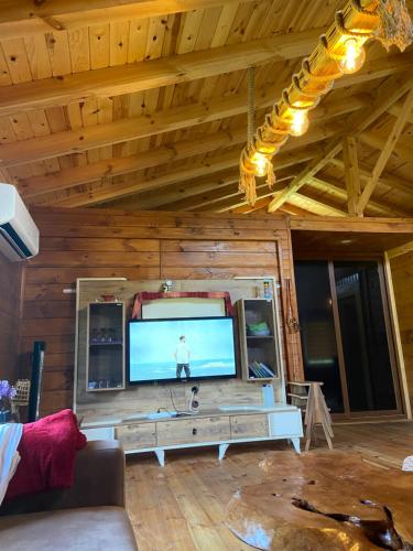 sala de estar con TV grande en una pared de madera en Sataple dağ evi, en Fındıklı