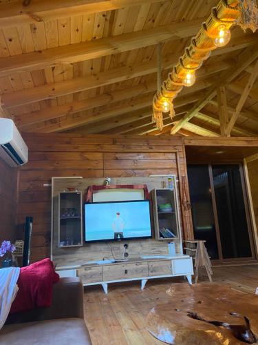 sala de estar con TV en una pared de madera en Sataple dağ evi, en Fındıklı