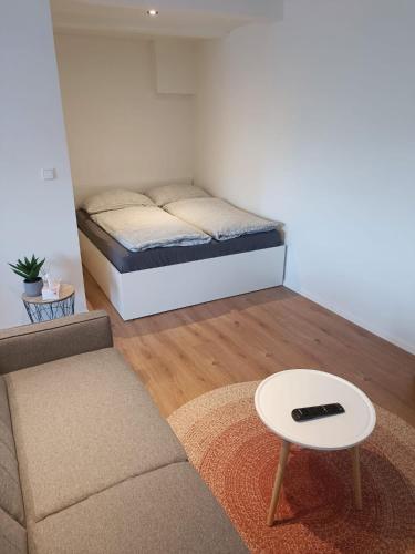 een woonkamer met een bank en een bed bij Zoo Karlovarská Apartment in Pilsen