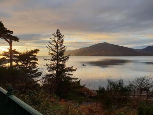 a view of a lake with a tree in the foreground at The Green House in Glenelg