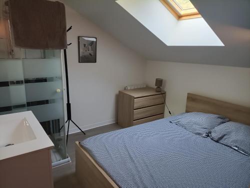1 dormitorio con cama, lavabo y tragaluz en F1 duplex Bleuet Rénové, en Lamalou-les-Bains