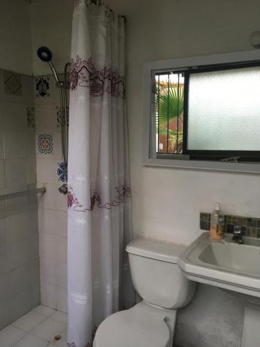 ein Bad mit einem WC, einem Waschbecken und einem Fenster in der Unterkunft El Pillan "Travelers" House in Santiago