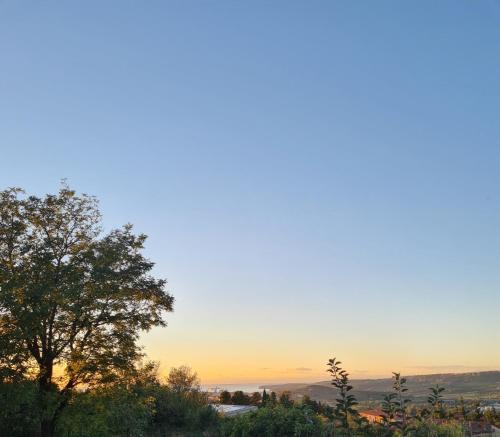 a tree on a hill with the sunset in the background at Apartment Moon in Pobegi