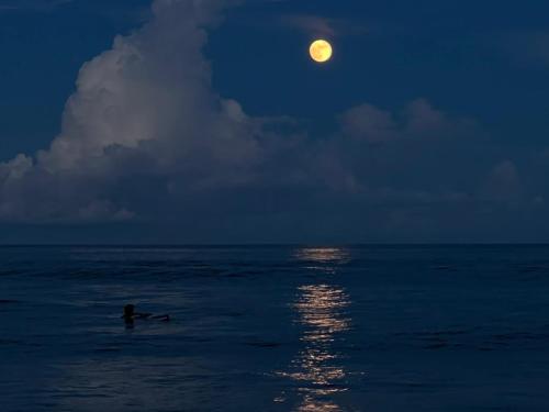 a person in the ocean at night with a full moon at Dulan Tranquilo Hostel 台東都蘭晃輕鬆背包客棧 in Donghe