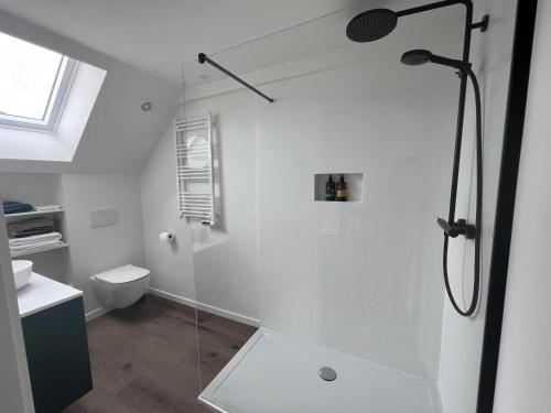 y baño blanco con ducha y aseo. en Maison Georges en Turnhout