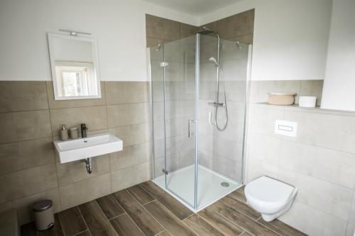 a bathroom with a shower and a toilet and a sink at Ferienwohnung Schwalbennest in Kiebitz