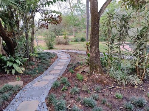 a stone path in a garden with a tree at El Morado Guest Farm in White River