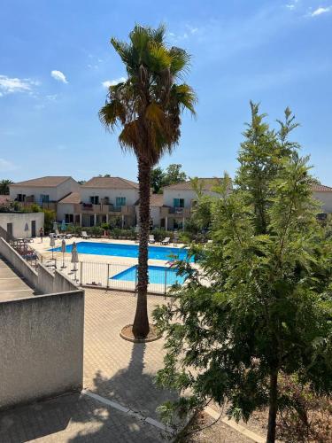un palmier installé à côté d'une piscine dans l'établissement Superbe appartement en résidence avec piscine proche plage, à Linguizzetta