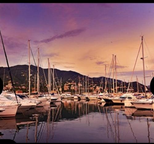 a group of boats docked in a marina at sunset at La conchiglia in Rapallo