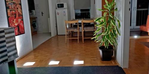 a dining room and kitchen with a table and a plant at Sokolov Apartment in Smederevo