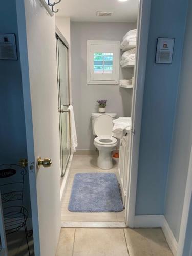 baño con aseo y alfombra azul en Modern 2/1 Apt near Midtown and Beaches, en Miami