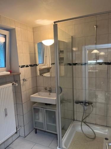 a bathroom with a shower and a sink at Bibis Ferienwohnung in Munich