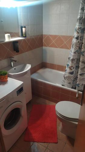 bagno con servizi igienici, lavandino e lavatrice. di Mama Marina apartement near to the airport ad Antimácheia