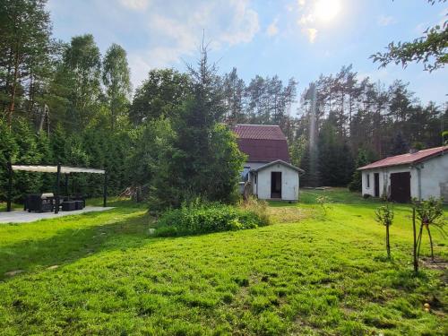 Leśne Studio