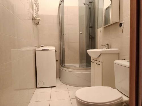W łazience znajduje się prysznic, toaleta i umywalka. w obiekcie Cruz Mieszkanie Pokoje Centrum przytulny czysty lokal na noc w Łodzi