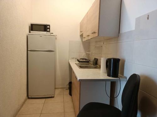 una piccola cucina con frigorifero e lavandino di Cruz Mieszkanie Pokoje Centrum przytulny czysty lokal na noc a Łódź