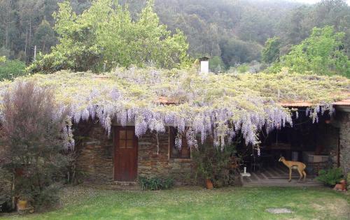 a house with a wreath of purple flowers on it at T3 Quinta da Melroa - Mountain Villa - Caramulo in Viseu