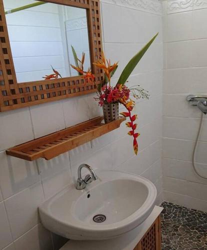 a bathroom with a sink and a mirror and a plant at Héritage créole 2 : Cirik in Sainte-Luce