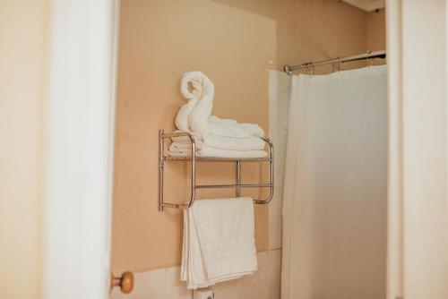 a towel rack with a swan on it in a bathroom at Hotel Condesa in Comayagua