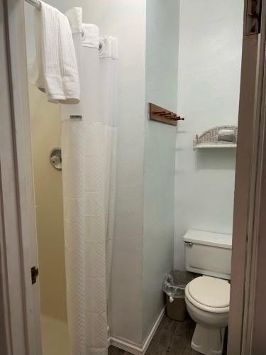 a bathroom with a toilet and a shower curtain at Americas Best Value Inn Royal Carriage in Jamestown