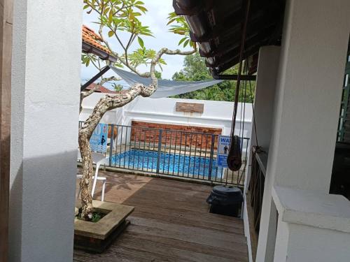 a bonsai tree on a deck with a pool at Old Klang Road Homestay Dungun in Dungun
