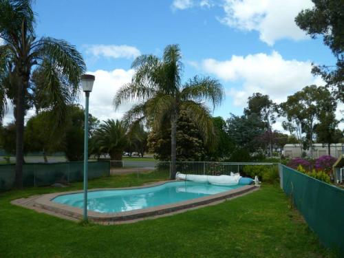 una pequeña piscina en un patio con palmeras en Birch Motel Tocumwal, en Tocumwal