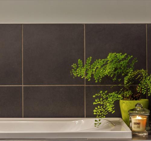 Foto sihtkohas Torquay asuva majutusasutuse Torquay Homestay Guesthouse galeriist