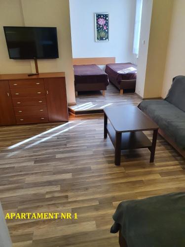 un soggiorno con divano e TV di Centrum Noclegowe Apartament 1 a Bydgoszcz