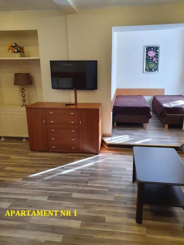 un soggiorno con TV a schermo piatto e divano di Centrum Noclegowe Apartament 1 a Bydgoszcz