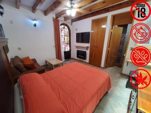 Villa Alfonsina في مدينة ميكسيكو: غرفة نوم مع سرير وغرفة معيشة