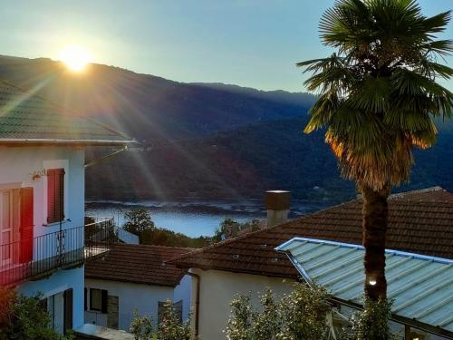 a palm tree next to a building with a view of a mountain at CASA VACANZE "LA QUIETE" in Nonio