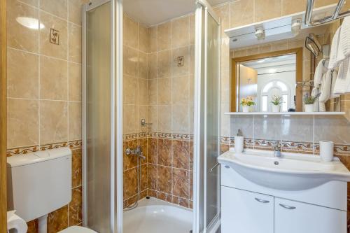 uma casa de banho com um chuveiro, um lavatório e um WC. em River View Suite Mlinar Private Beach - Happy Rentals em Metlika