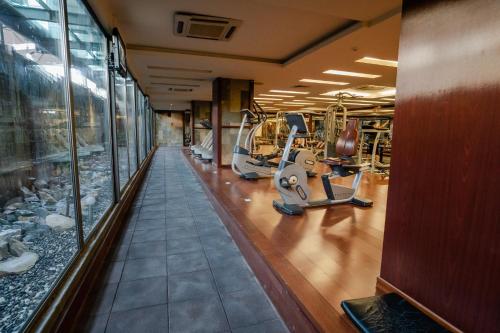 un gimnasio con cintas de correr y máquinas elípticas en Canyon Hotel Erbil, en Erbil