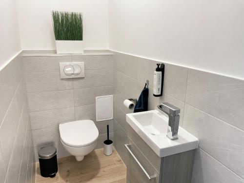 a small bathroom with a toilet and a sink at Csatári Ház - Szekszárd in Szekszárd