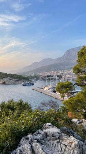 Apartman Ita Pet Friendly