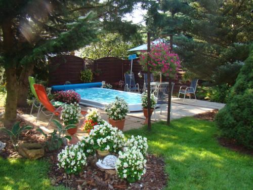 a backyard with a swimming pool with plants and flowers at DOM POD LIPAMI in Wojsławice