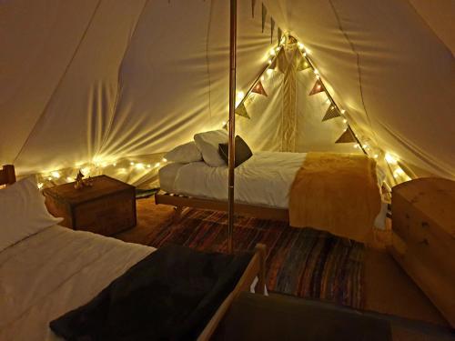 um quarto com 2 camas numa tenda com luzes em Stunning 6m Emperor tent located near Whitby em Liverton