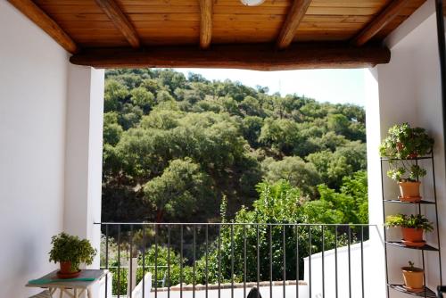 a view of a mountain from a balcony at Casa Antonio in Alájar