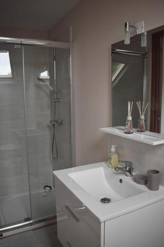 une salle de bain avec un lavabo blanc et une douche dans l'établissement Le Noble Jardin, à Mohon