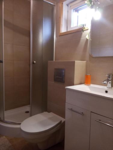 W łazience znajduje się toaleta, prysznic i umywalka. w obiekcie Cztery Pory Roku - Dom w mieście Lutowiska