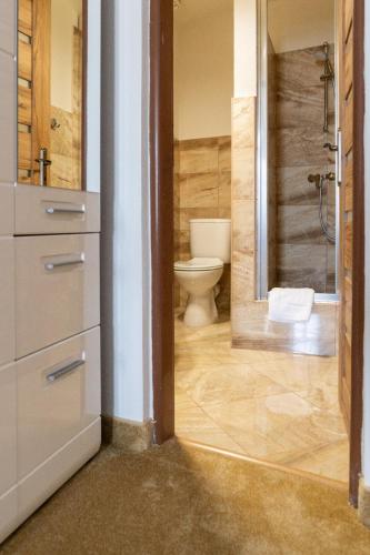 a bathroom with a toilet and a shower and a sink at Penzión Deloris in Trenčín