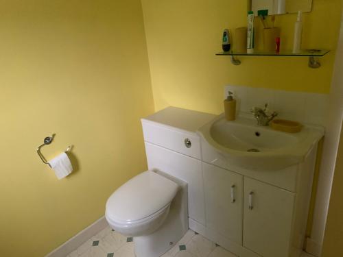 a bathroom with a white toilet and a sink at Muirfad Cottage in Palnure