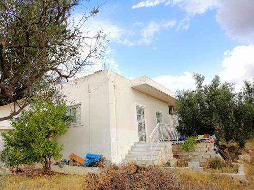 a white house with stairs and trees in front of it at CostasFarmhouse, Pallini, Near Athens Airport in Pévka