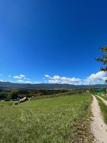 a road in a field with a blue sky at Vineyard Cottage Maleric with Pool Access in Dragatuš