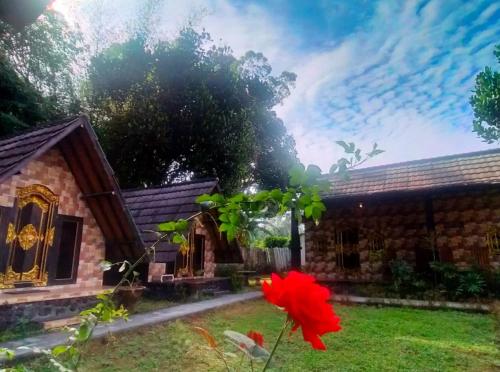 a red flower in front of a house at Zelobi Venture in Kintamani