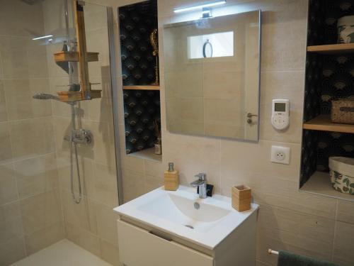 La salle de bains est pourvue d'un lavabo et d'une douche. dans l'établissement Les grives aux loups, à Brive-la-Gaillarde