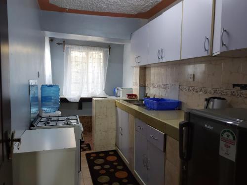 Η κουζίνα ή μικρή κουζίνα στο Parkview apartments